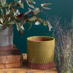 yarrow pot shop now at flower + furbishGift, plant pot, Planter, Pot, shipping, vessel