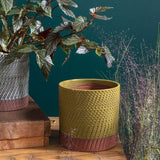 yarrow pot shop now at flower + furbishGift, plant pot, Planter, Pot, shipping, vessel