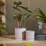 los feliz pot shop now at flower + furbishDrainage hole, plant, plant pot, Pot, shipping