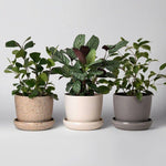 upcycled planters shop now at flower + furbish