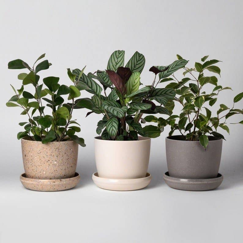 upcycled planters shop now at flower + furbish