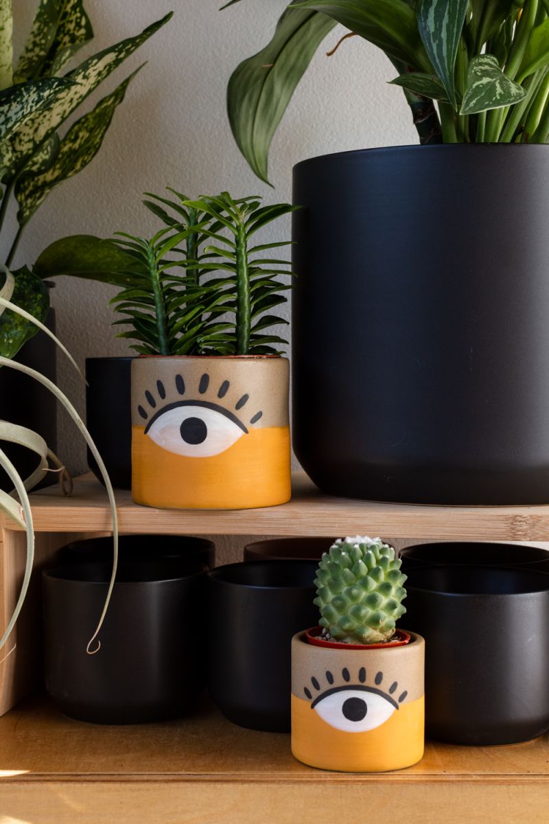 vision pot shop now at flower + furbishGift, plant pot, Planter, Pot, shipping, vessel