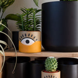 vision pot shop now at flower + furbishGift, plant pot, Planter, Pot, shipping, vessel