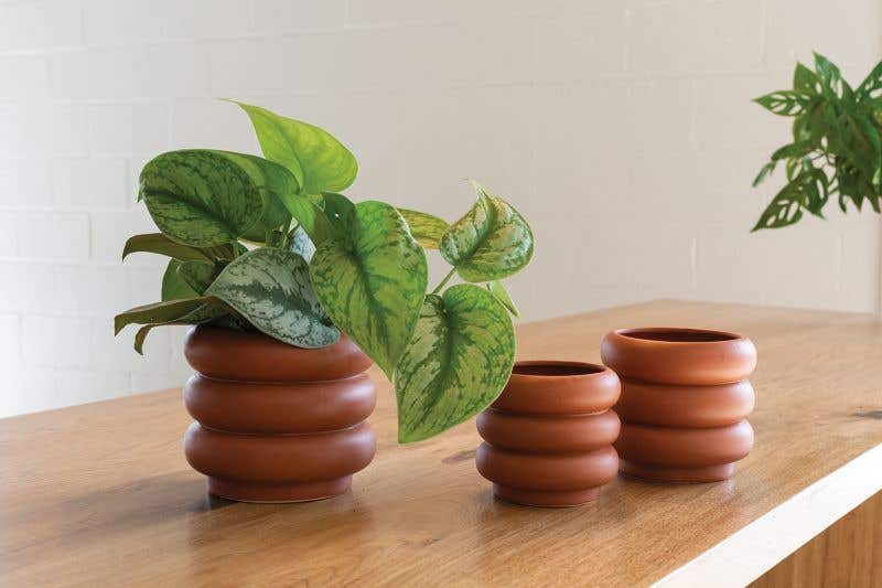 motley pot shop now at flower + furbishGift, plant pot, Planter, Pot, shipping, vessel