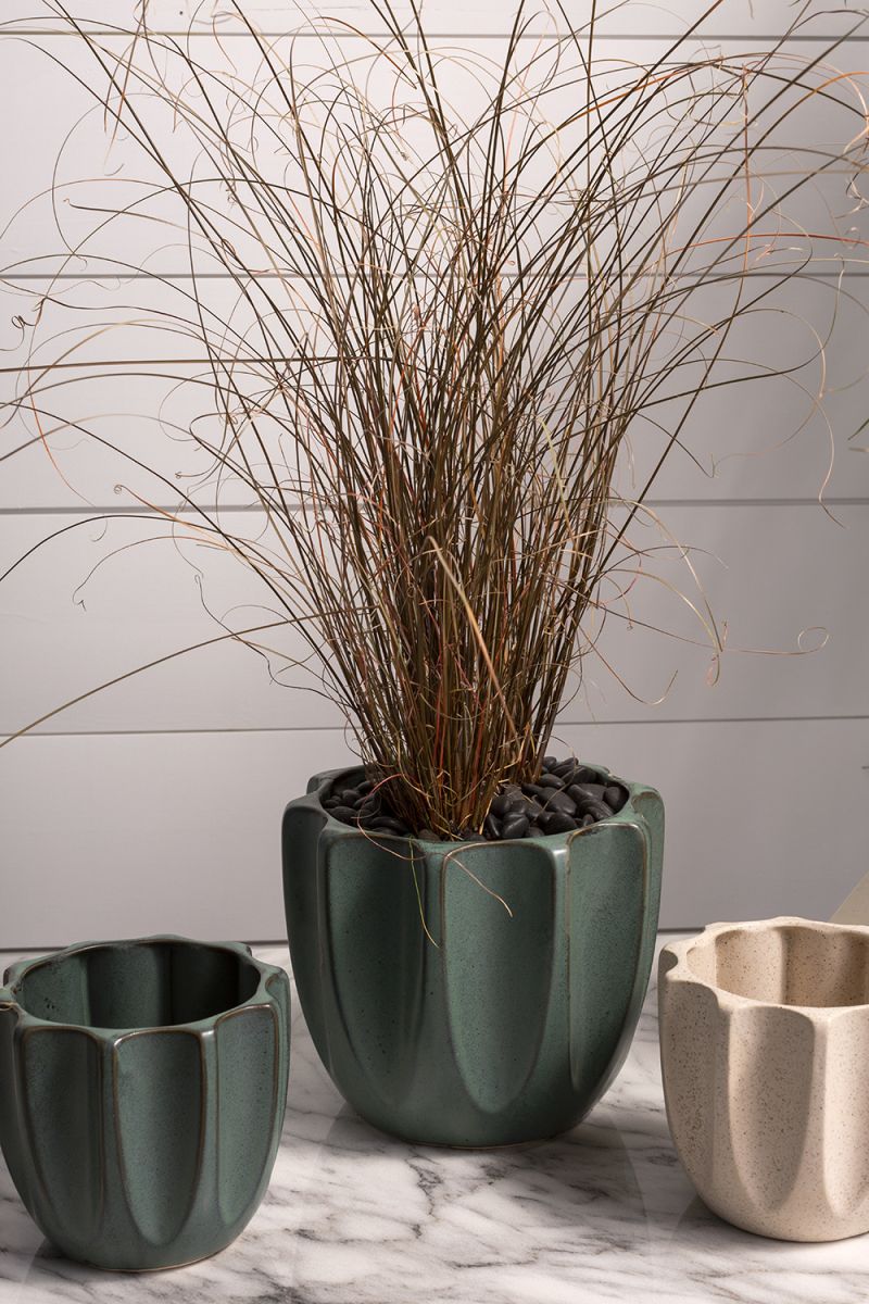 beaumont pot shop now at flower + furbishplant, plant pot, Pot, shipping, terra cotta