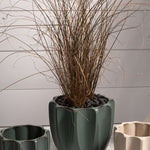 beaumont pot shop now at flower + furbishplant, plant pot, Pot, shipping, terra cotta