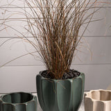 beaumont pot shop now at flower + furbishplant, plant pot, Pot, shipping, terra cotta