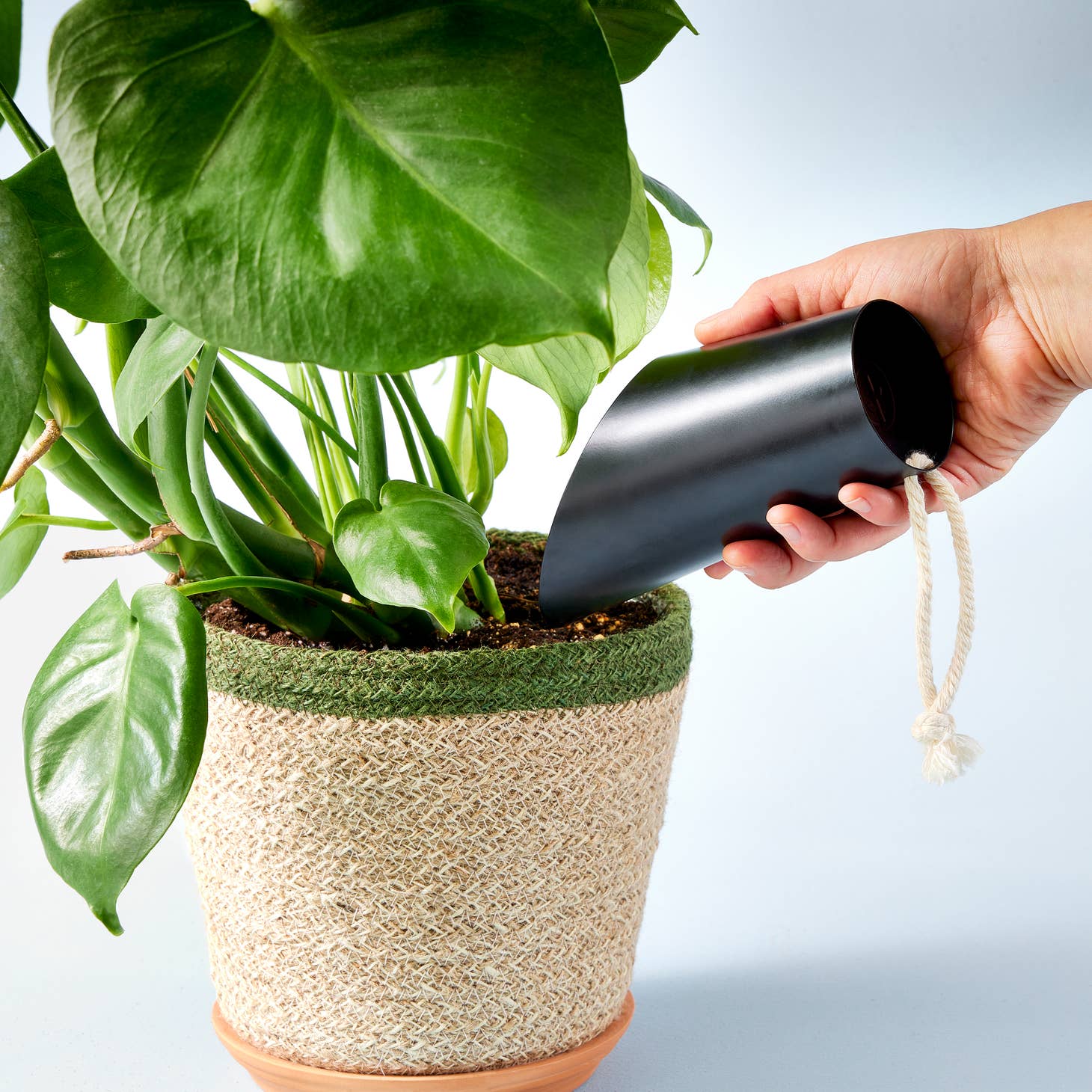 modern sprout soil scoop shop now at flower + furbishshipping