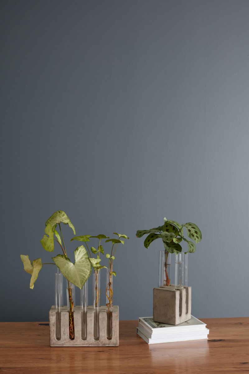 propagation stand shop now at flower + furbishvase, vessel