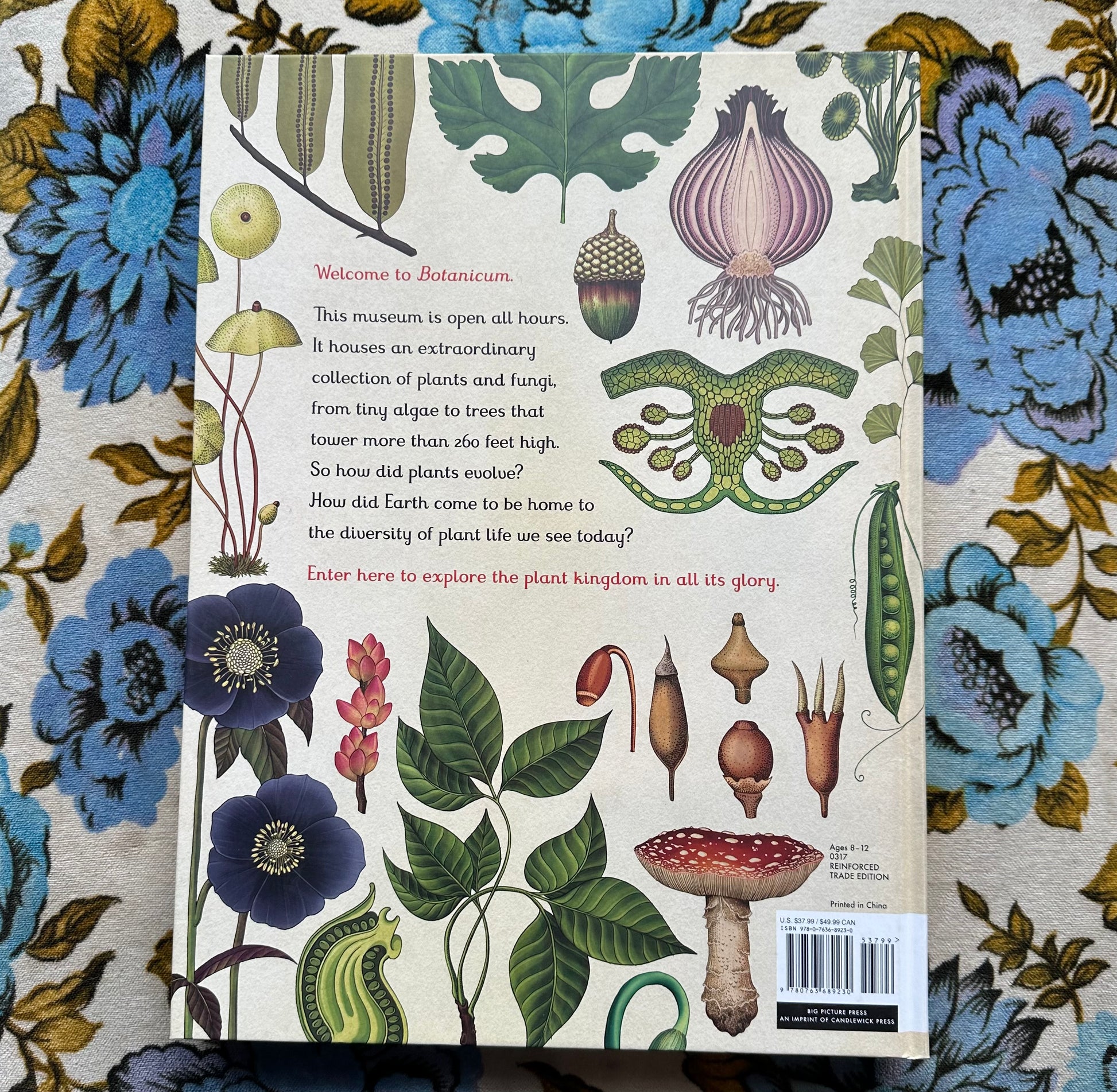 botanicum: welcome to the museum book from flower + furbish Shop now at flower + furbish