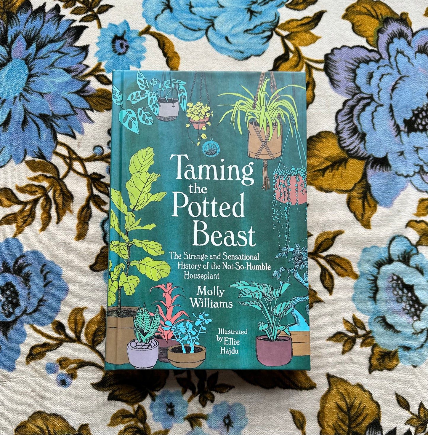 taming the potted beast: the strange and sensational history of the not-so-humble houseplant book from flower + furbish Shop now at flower + furbish