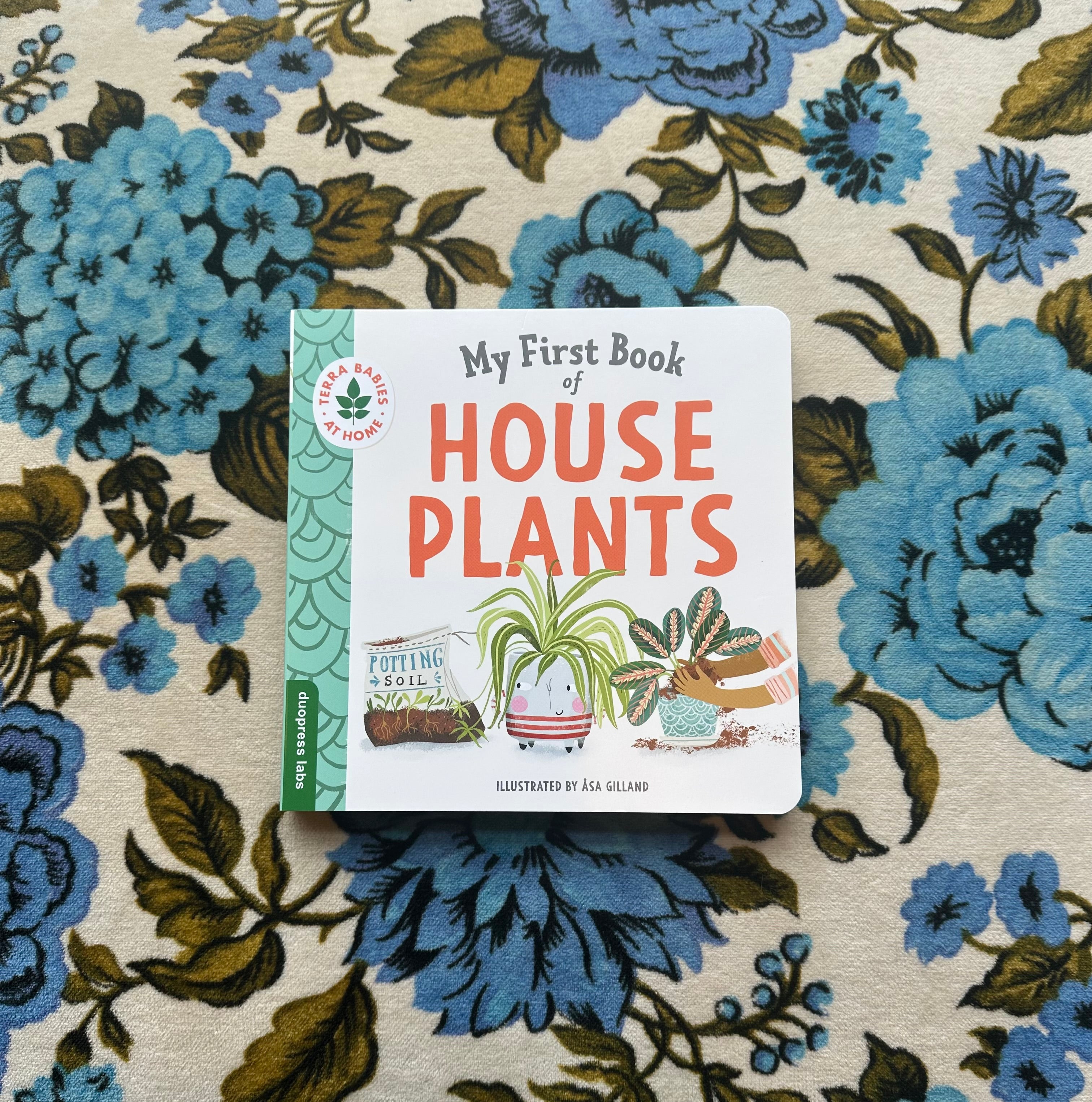 my first book of houseplants shop now at flower + furbishBook, celebration, Children’s book, garden, Gift, shipping