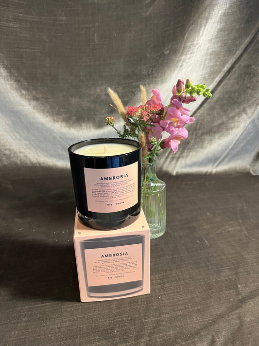 ambrosia boy smells candle candle from flower + furbish Shop now at flower + furbish