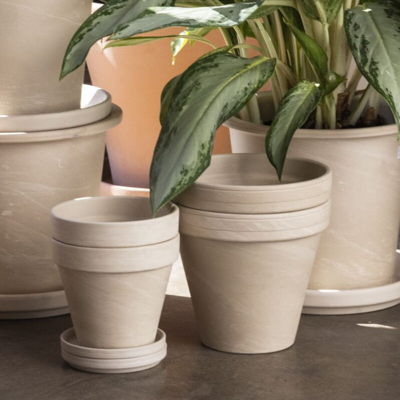 apollo pot pot from flower + furbish Shop now at flower + furbish