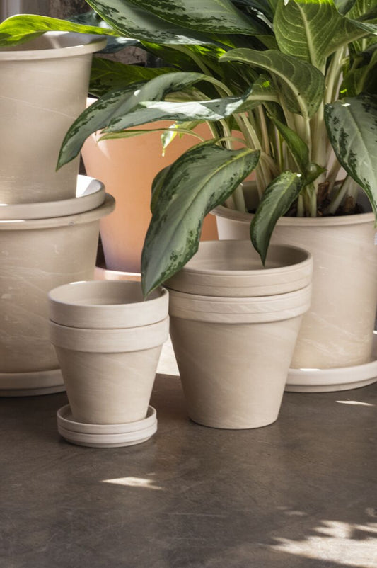 apollo pot pot from flower + furbish Shop now at flower + furbish