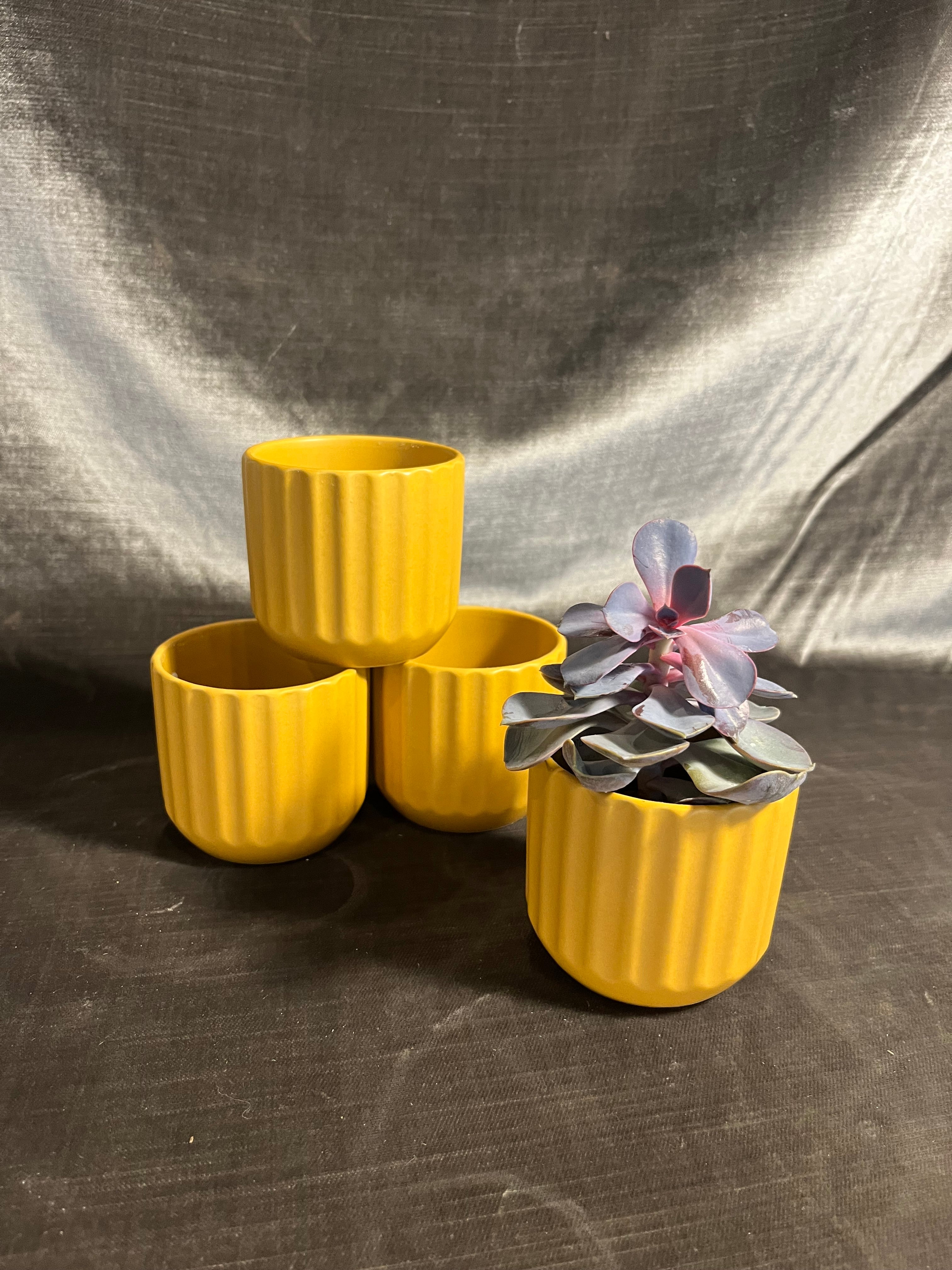 beam pot shop now at flower + furbishGift, plant pot, Planter, Pot, shipping