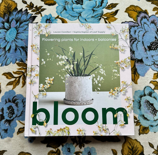 bloom: flowering plants for indoors and balconies book from flower + furbish Shop now at flower + furbish