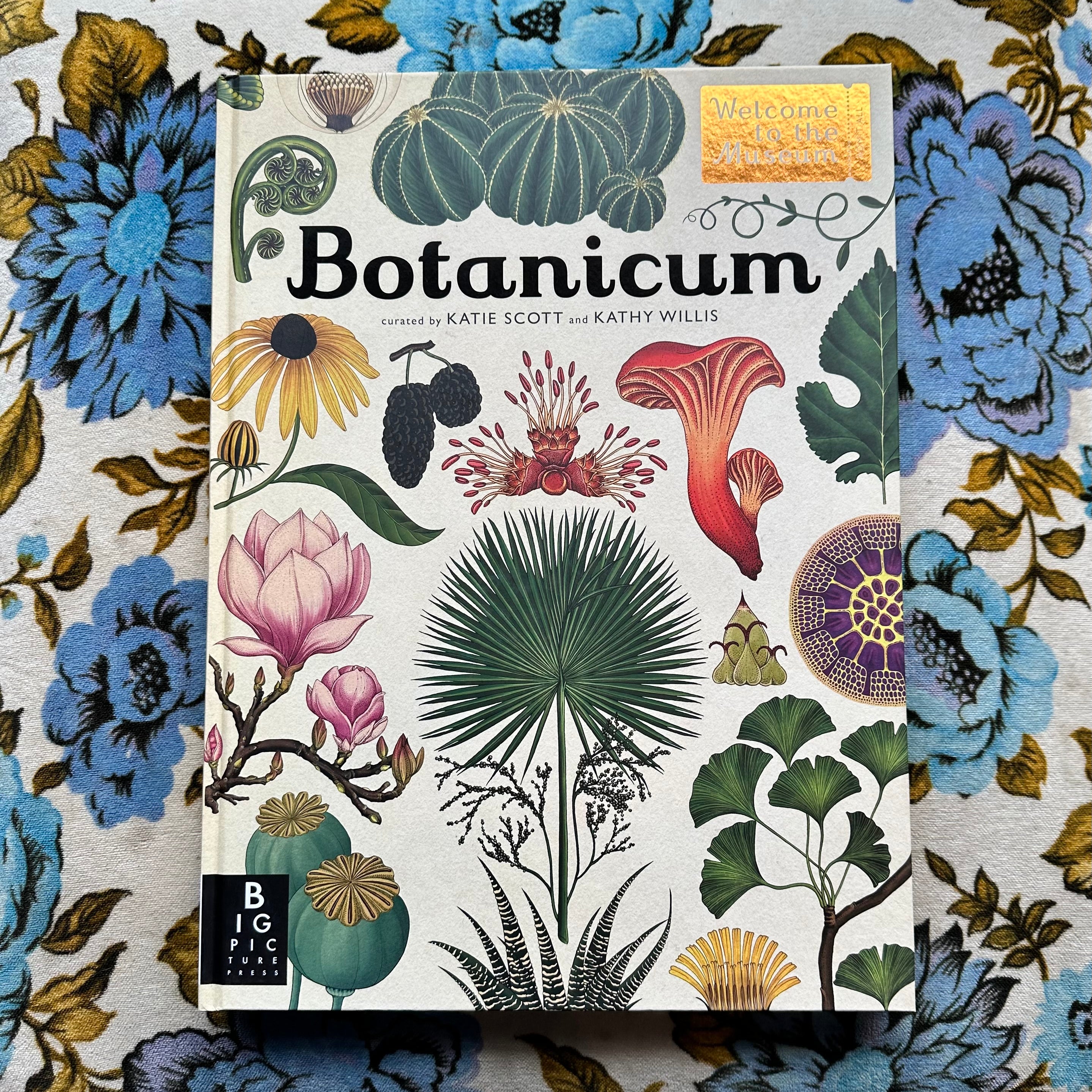 botanicum: welcome to the museum book from flower + furbish Shop now at flower + furbish