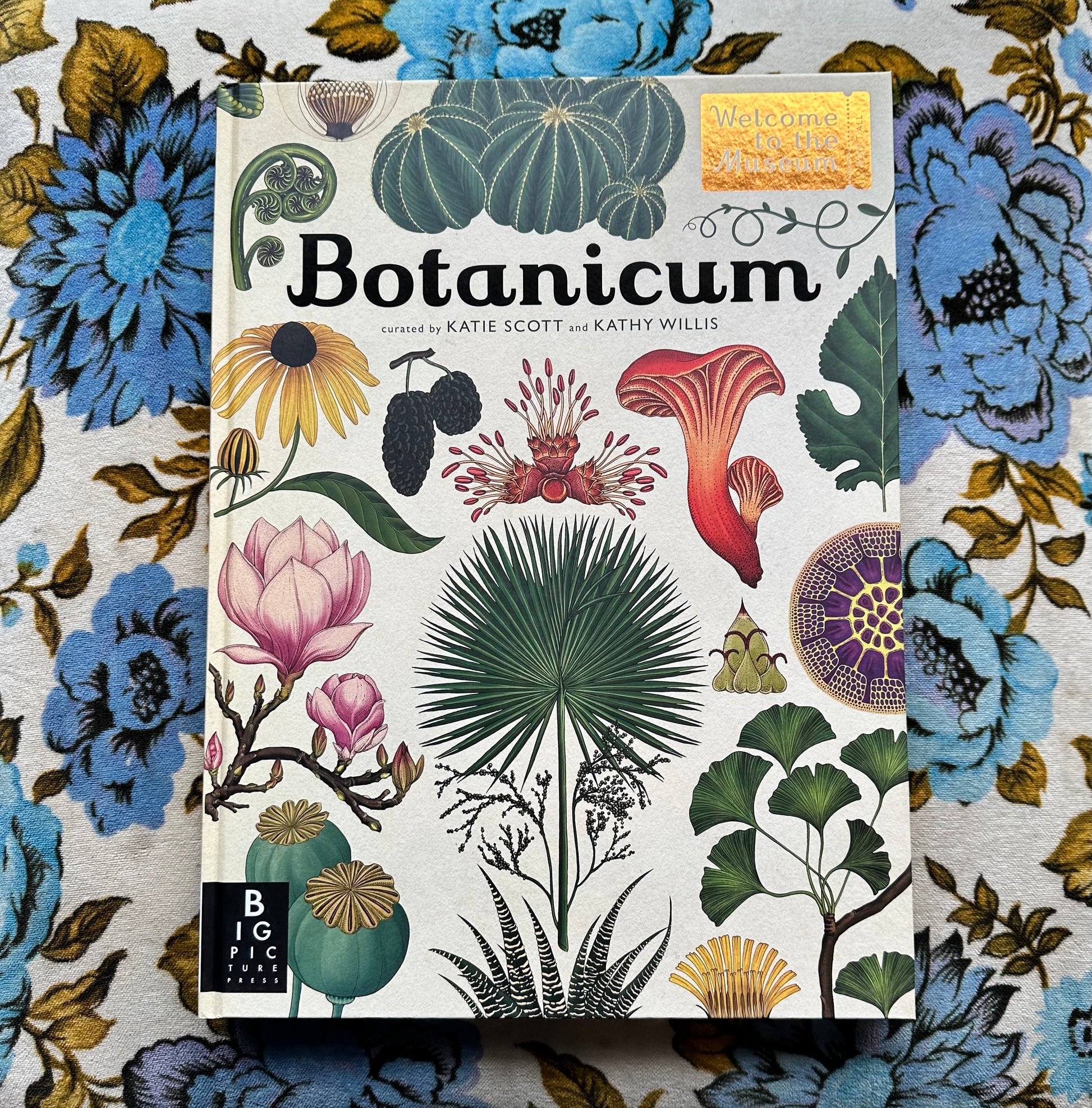 botanicum: welcome to the museum book from flower + furbish Shop now at flower + furbish