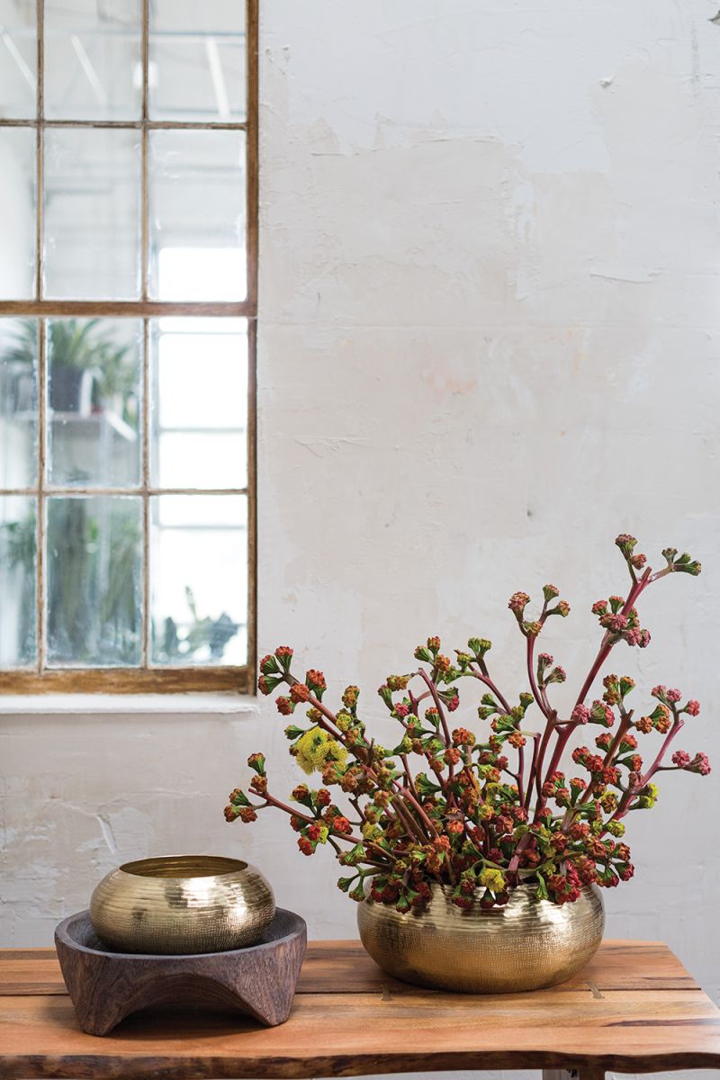 bowie bowl pot from flower + furbish Shop now at flower + furbish