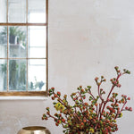 bowie bowl pot from flower + furbish Shop now at flower + furbish