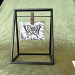 butterfly print shop now at flower + furbishlife on mars, marlee, print, shipping