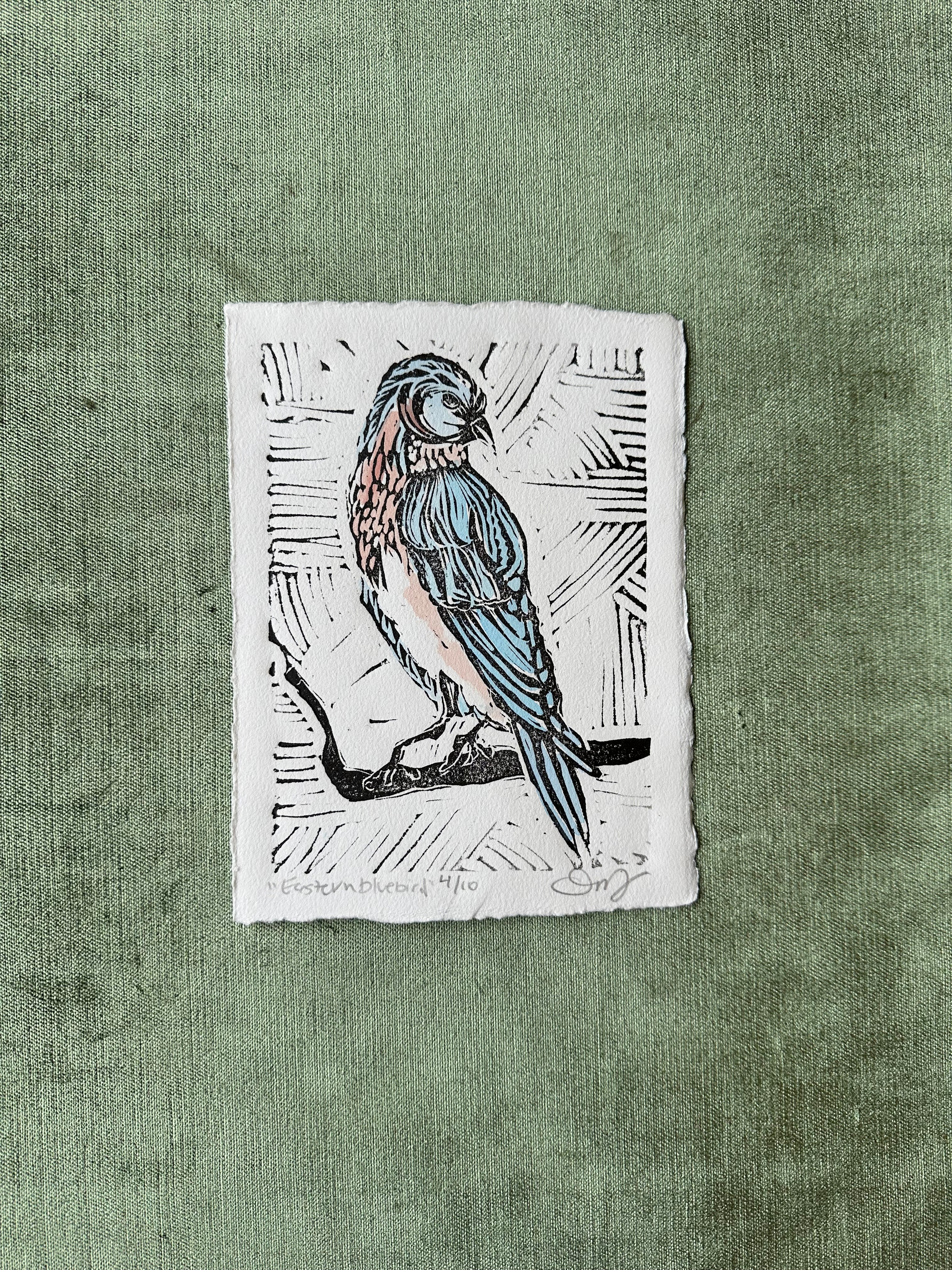 eastern bluebird print shop now at flower + furbishlife on mars, marlee, print, shipping