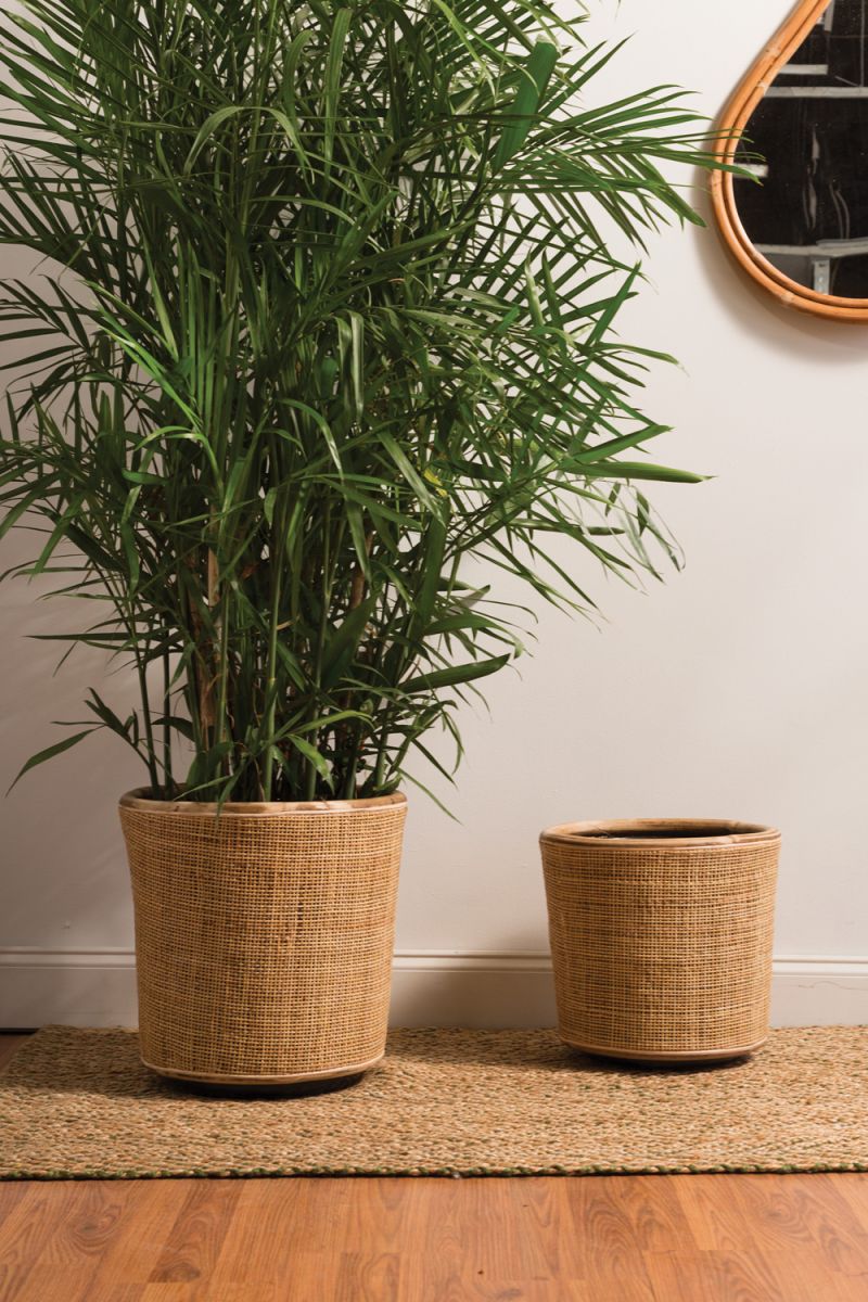 fett pot pot from flower + furbish Shop now at flower + furbish