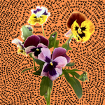 pansy vinyl sticker Sticker from flower + furbish Shop now at flower + furbish