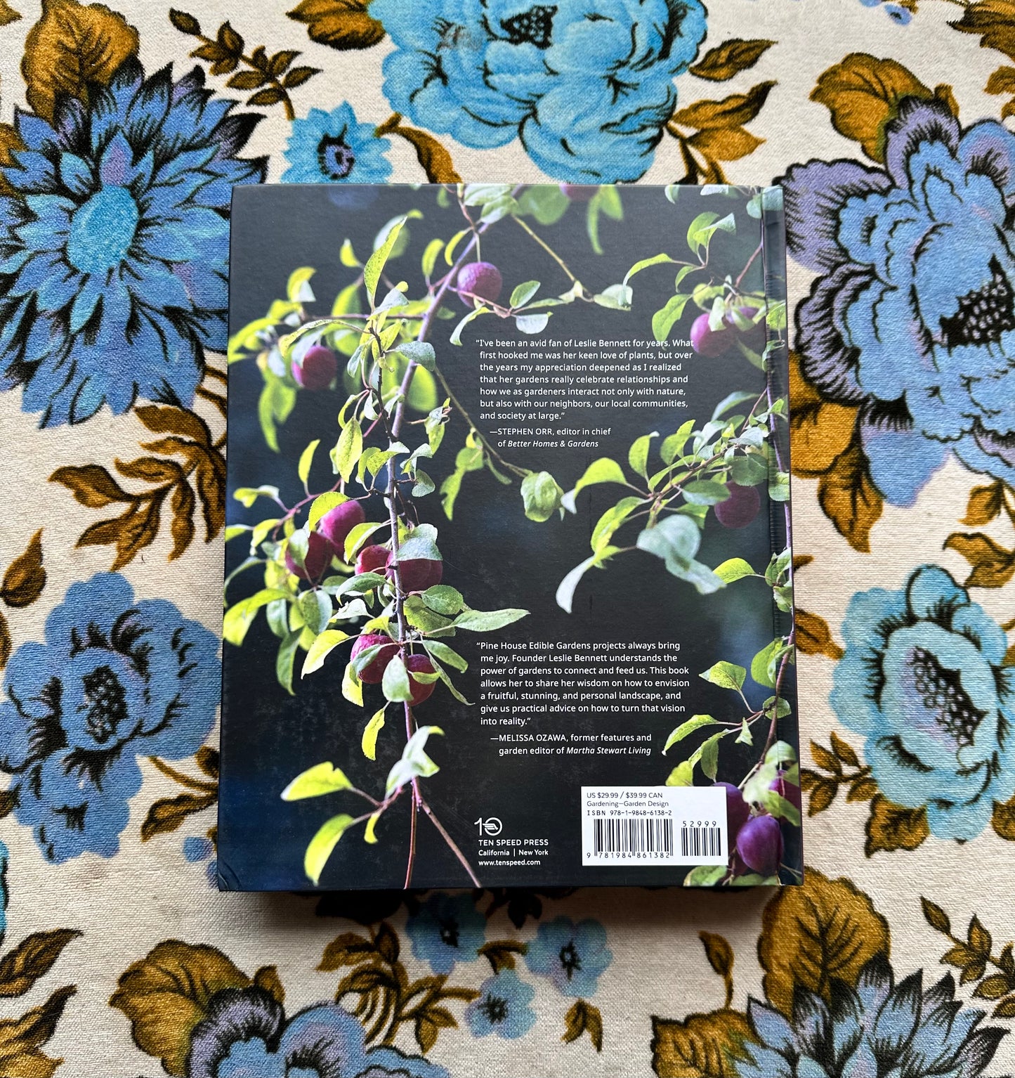 garden wonderland: create life-changing outdoor spaces for beauty, harvest, meaning, and joy book from flower + furbish Shop now at flower + furbish