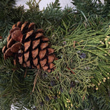 christmas wreath Wreath from flower + furbish Shop now at flower + furbish