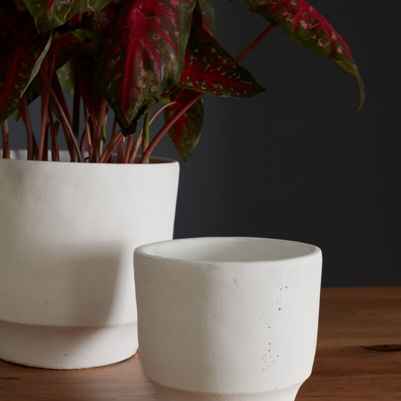 glendale pot pot from flower + furbish Shop now at flower + furbish