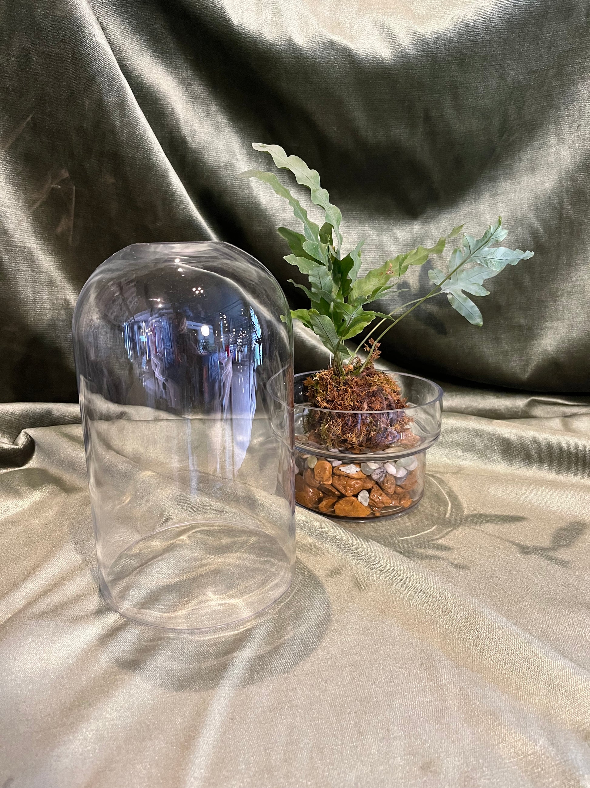 griffith terrarium vase from flower + furbish Shop now at flower + furbish