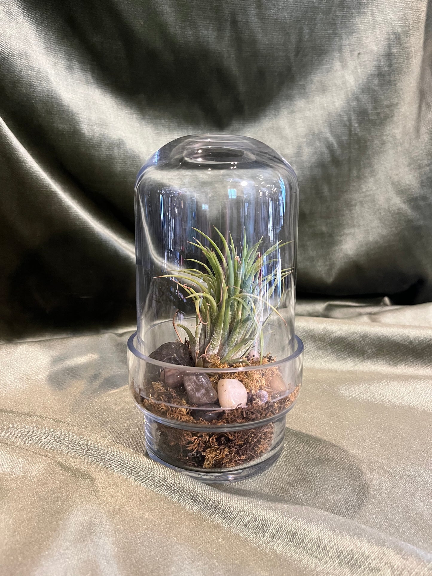 griffith terrarium vase from flower + furbish Shop now at flower + furbish