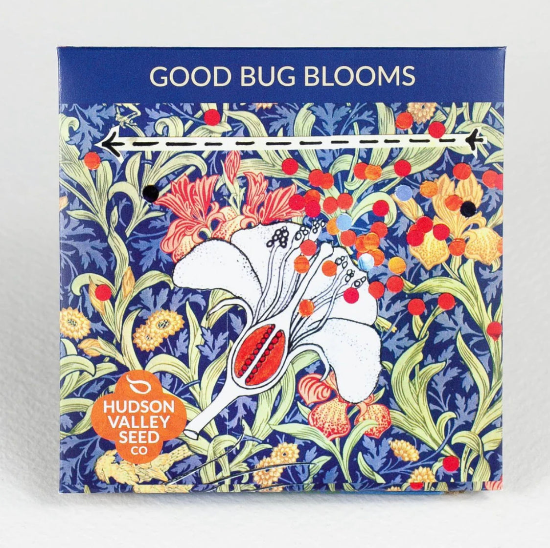 hudson valley good bug blooms seeds seed from flower + furbish Shop now at flower + furbish