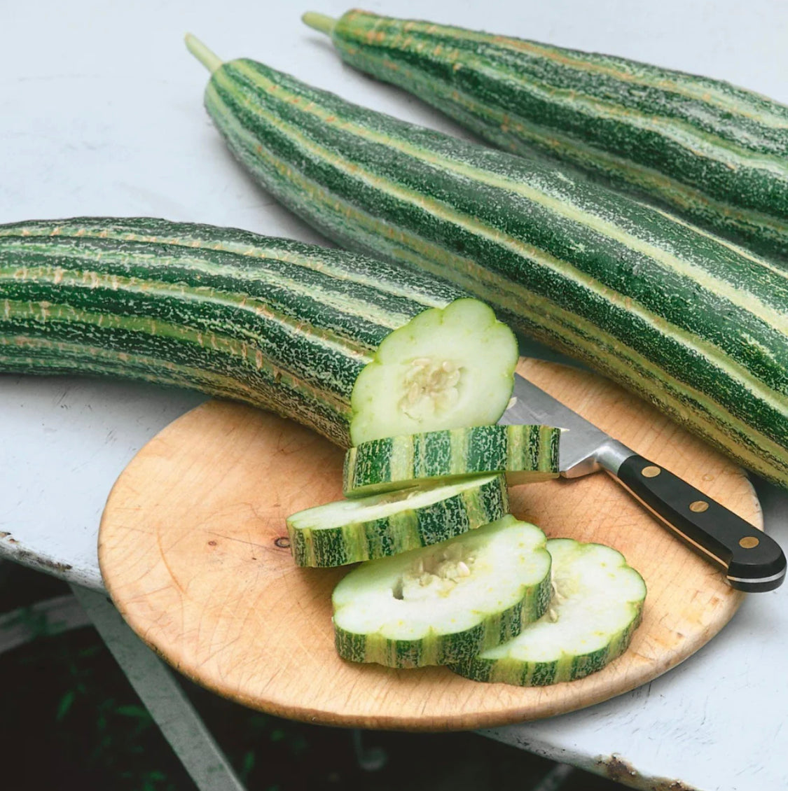 hudson valley painted serpent cucumber seeds seed from flower + furbish Shop now at flower + furbish