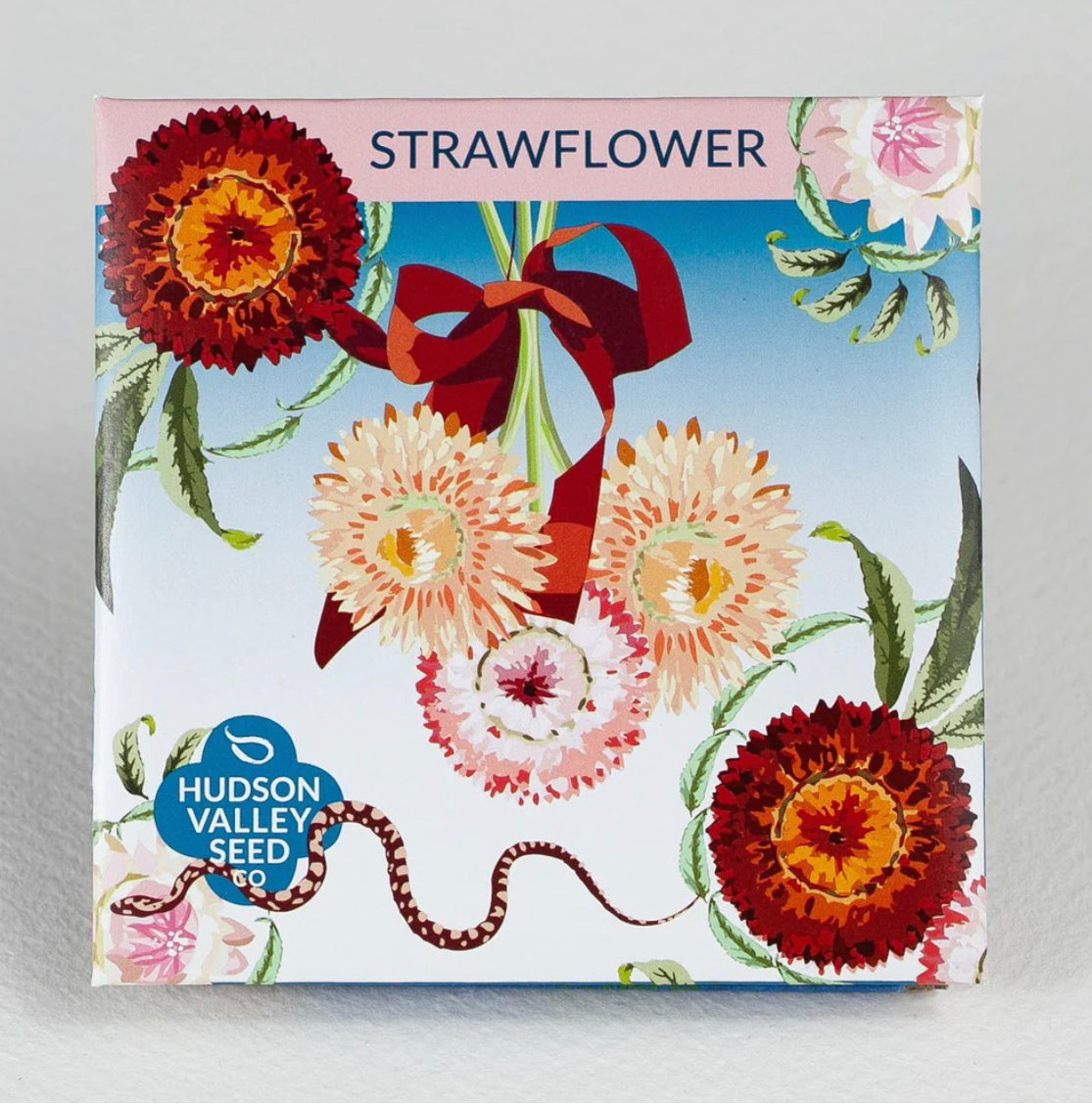 hudson valley strawflower seeds seed from flower + furbish Shop now at flower + furbish