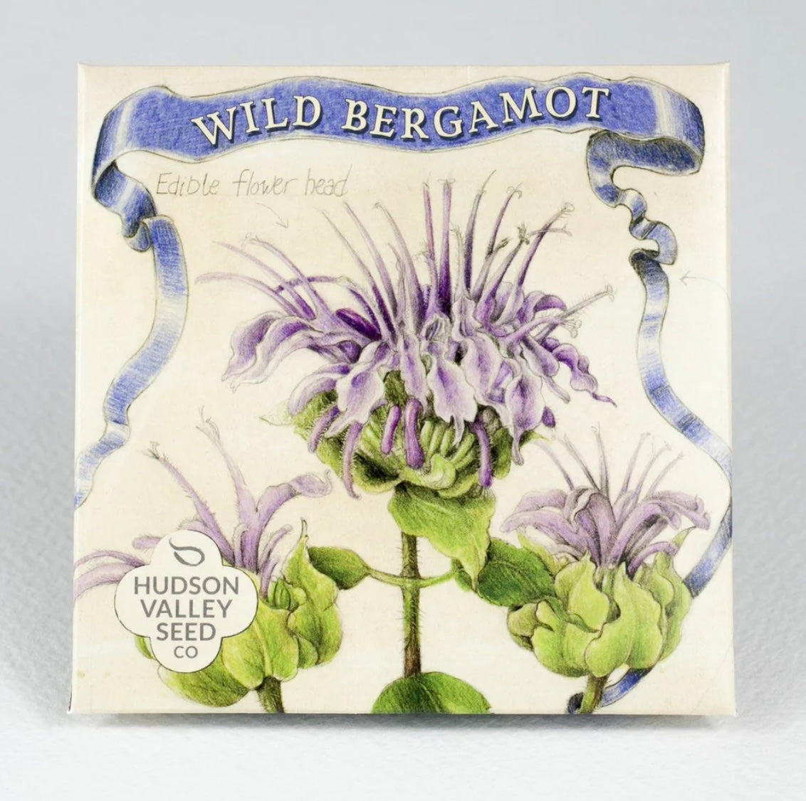 hudson valley wild bergamot seeds seed from flower + furbish Shop now at flower + furbish