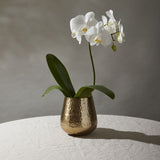 hux pot vase from flower + furbish Shop now at flower + furbish