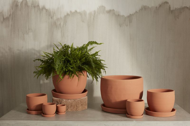 baden pot shop now at flower + furbishplant, plant pot, Pot, shipping, terra cotta