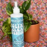 houseplant leaf cleanser Leaf cleaner from flower + furbish Shop now at flower + furbish