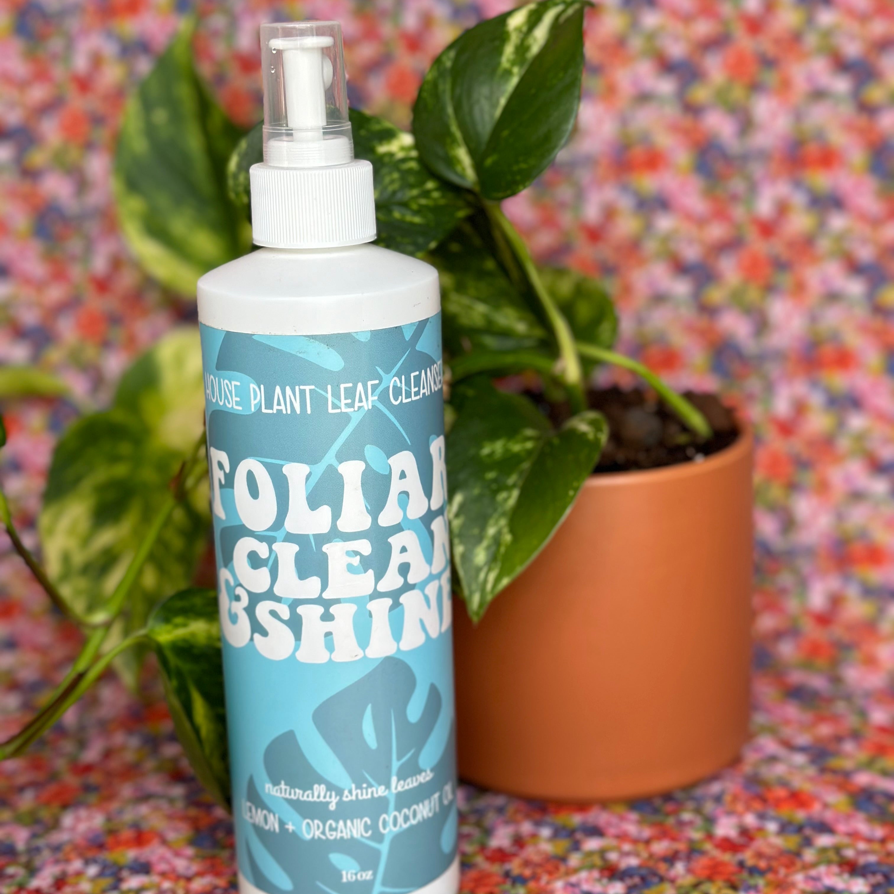 houseplant leaf cleanser Leaf cleaner from flower + furbish Shop now at flower + furbish