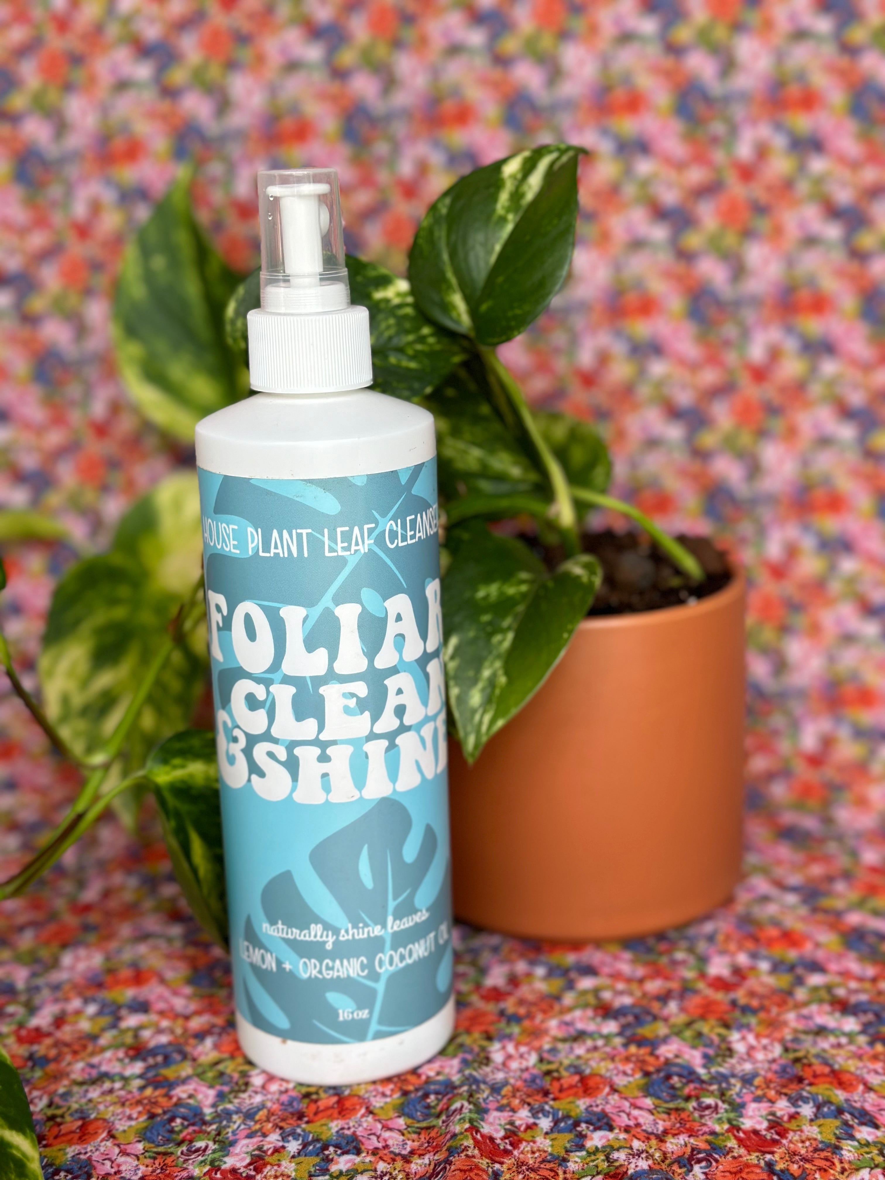 houseplant leaf cleanser Leaf cleaner from flower + furbish Shop now at flower + furbish