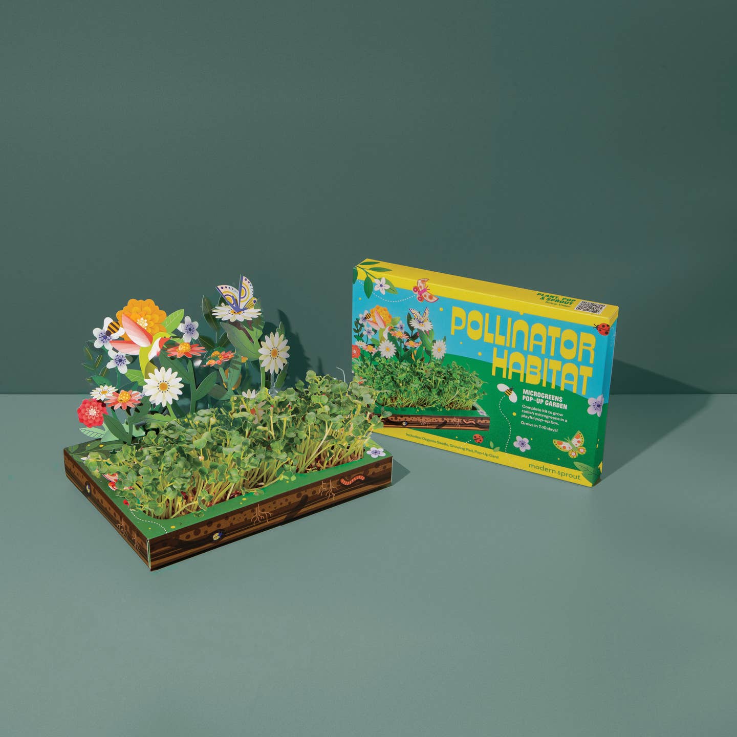 microgreens pollinator habitat seed from flower + furbish Shop now at flower + furbish