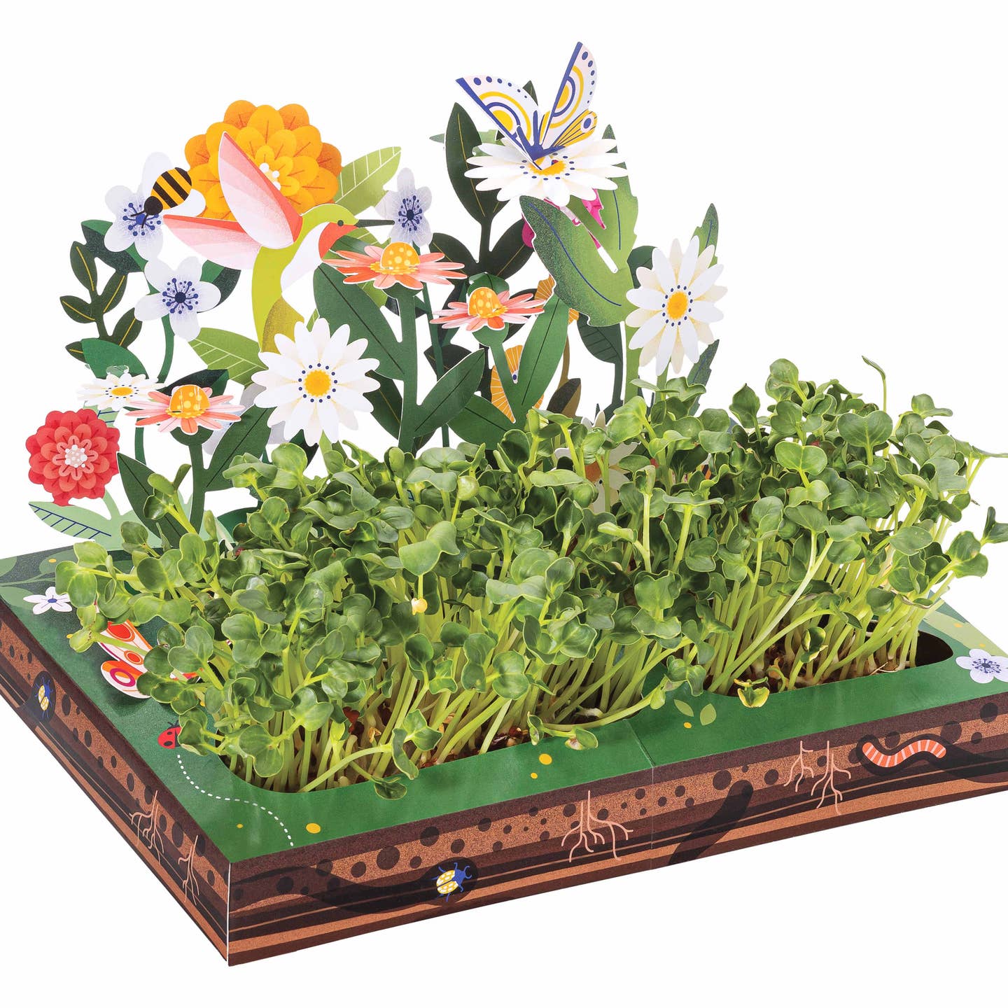 microgreens pollinator habitat seed from flower + furbish Shop now at flower + furbish