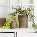 mossy pot plant pot from flower + furbish Shop now at flower + furbish