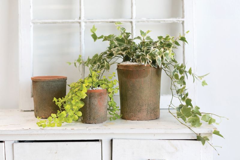 mossy pot plant pot from flower + furbish Shop now at flower + furbish