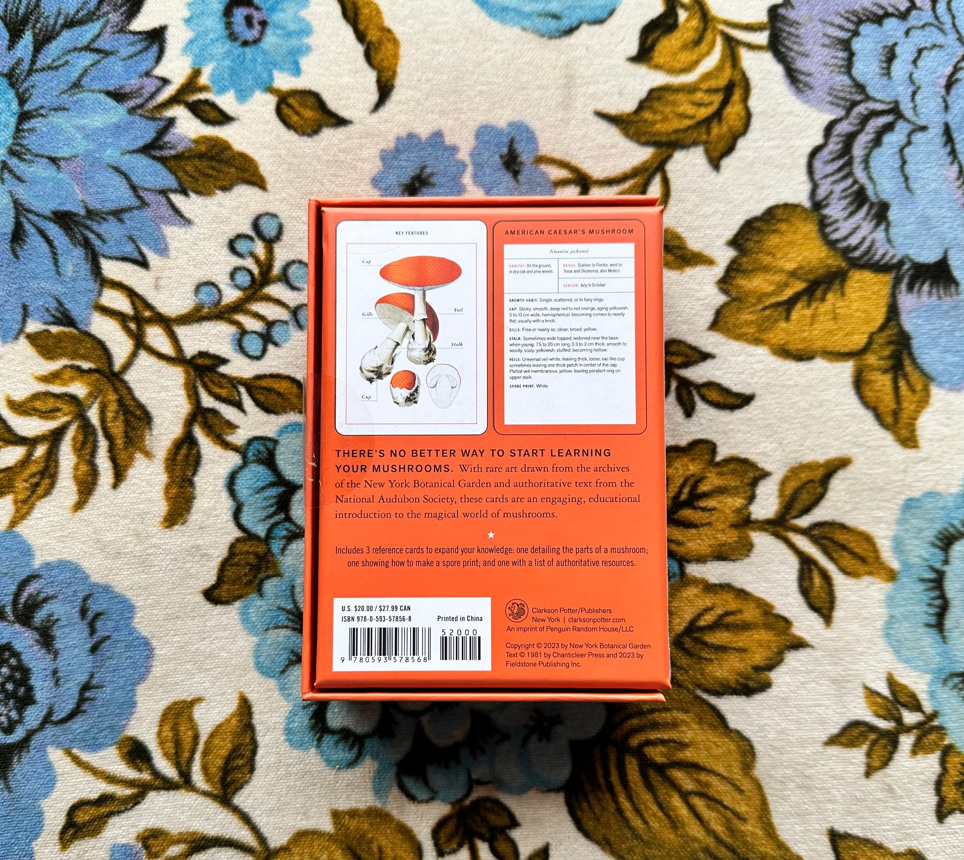 new york botanical garden mushroom identification flashcards Gift from flower + furbish Shop now at flower + furbish