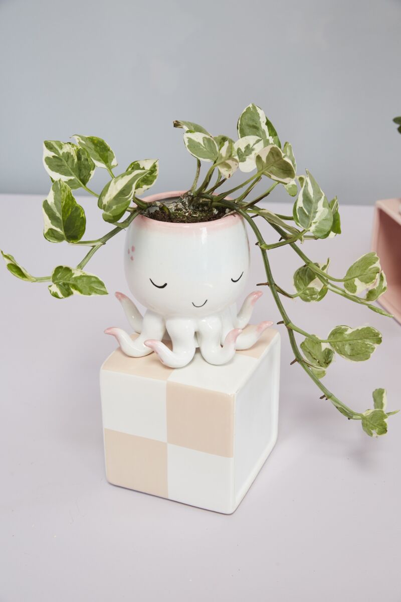 open arms octopus pot pot from flower + furbish Shop now at flower + furbish