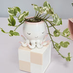 open arms octopus pot pot from flower + furbish Shop now at flower + furbish